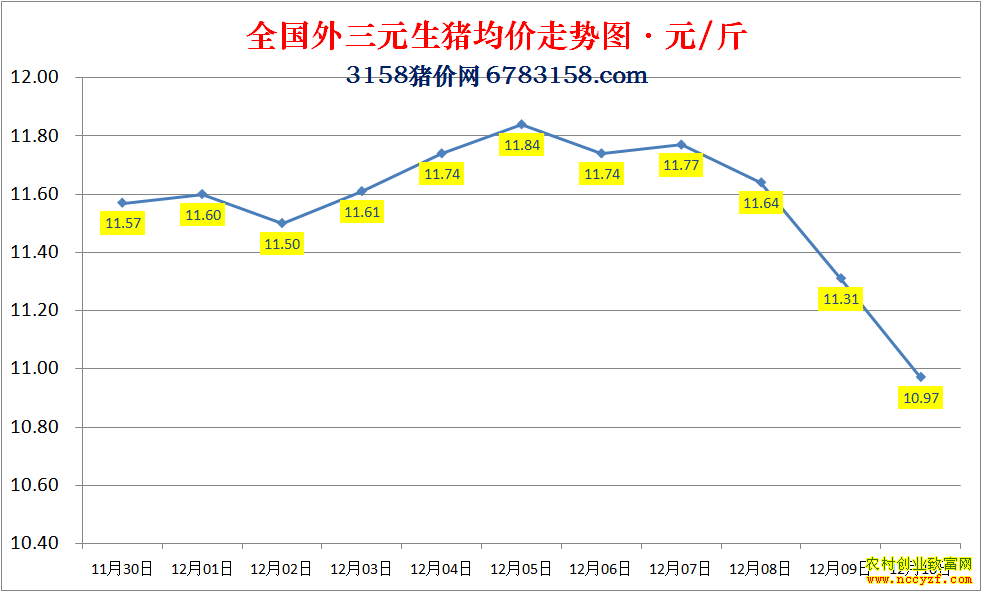 2022��ȫ�������۸��ǵ���