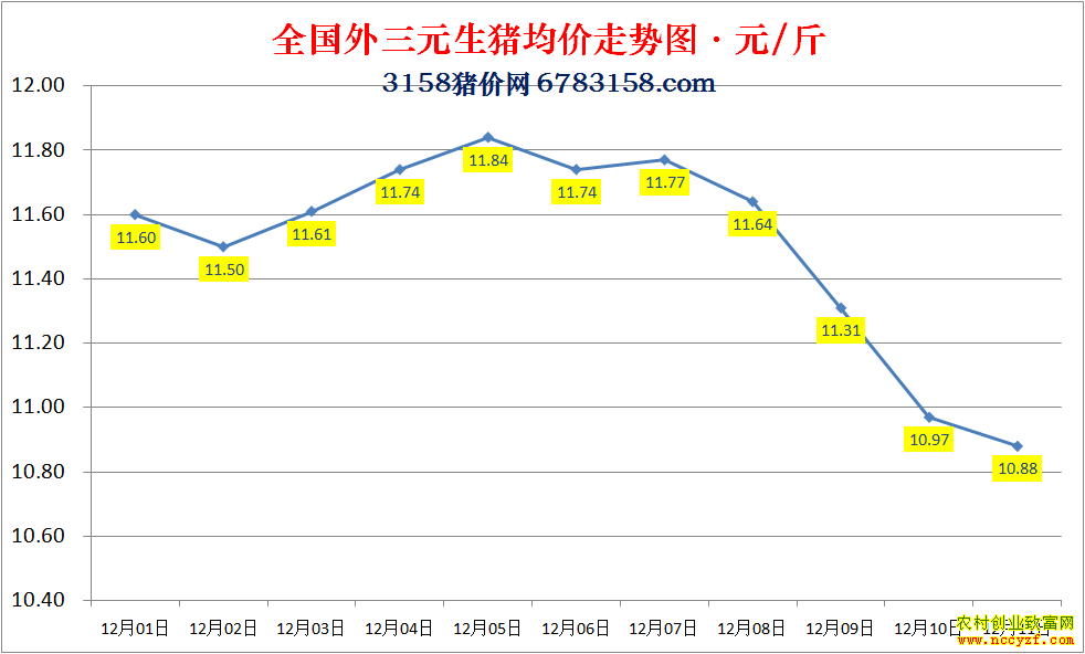 2022��ȫ�������۸��ǵ���