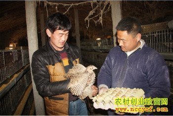 ��ֳ�߲�ɽ����ɽ����1Ԫ1��������������