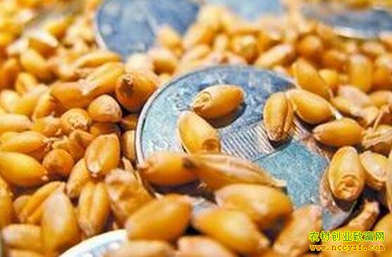 С����ӹ���Ŀ��ǰ������