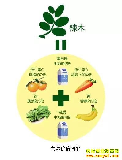 ��ľ��Ӫ����ֵ