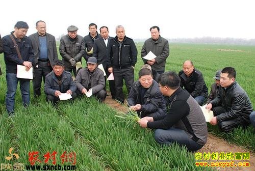 ��չũ������