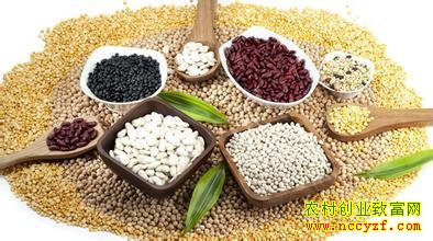 2016�����С�Ǯ�����Ĵ�ҵ��Ŀ