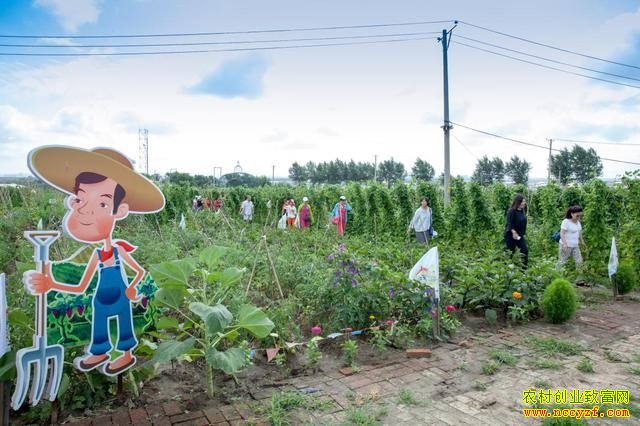 亲子农业,正在蓬勃兴起的农业项目