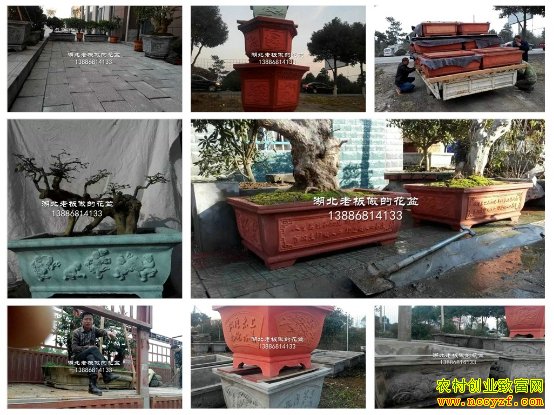 ˮ�ม���輼��