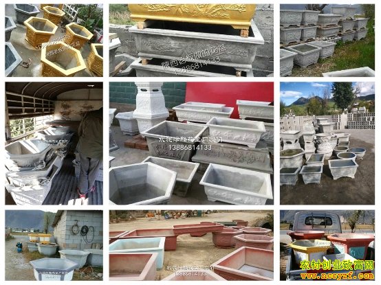 ˮ�ม���輼��