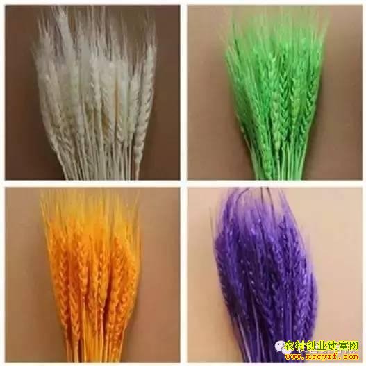 һĶС��6��Ԫ��˼·���ˣ���·�Ϳ���