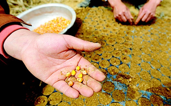 ��������ֲ