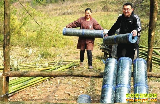 �Ĵ��ϳ�帾��΢��֮·���������¸� ����ͼ���