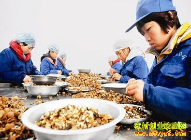 ũ������Щ�ͷ��յĴ�ҵС��Ŀ