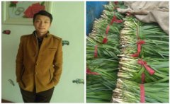 ɽ��С�������¸��̻����ֻ����������²ˡ�����5000��