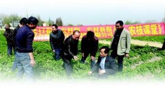 ������ë�����ܲ�������ֲģʽĶ�������Ԫ