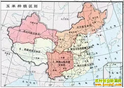 ������ֲ���滮