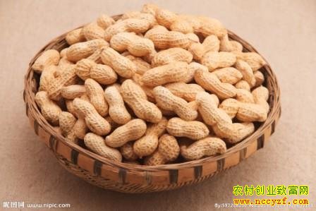 ���������������ǣ�������Ǯ��û����