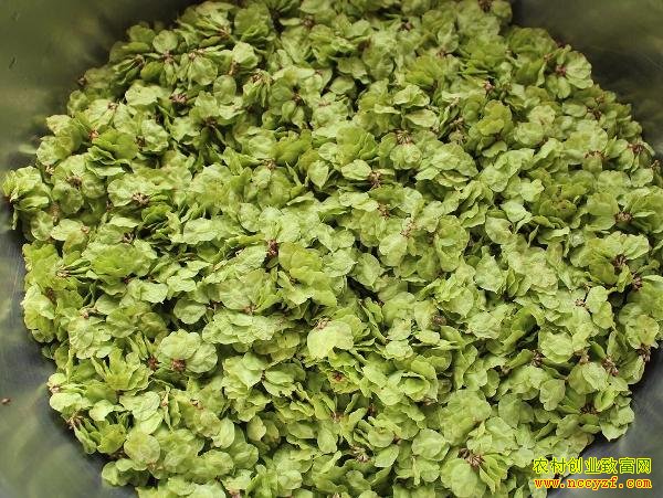 ʮ������Ǯһ����������ˣ�ÿ��10��12Ԫ