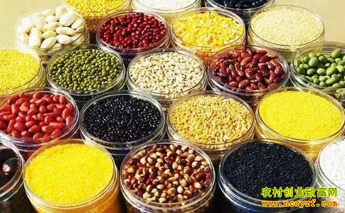 2016��ʲô��Ǯ���ٲ��������ˣ�