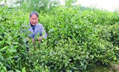 �������������ְײ���������¸�·