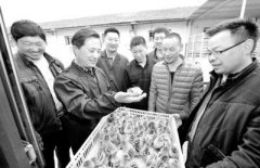 �����Ϫ������רҵ�����ݴ���������