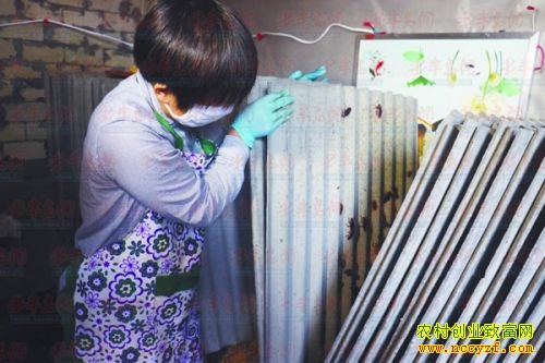 ���㻨����߽������޴�������ϰ�ԡ�