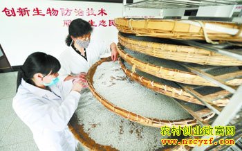 ����ʡ��з������ģ�������Ա�ڷ������۷�