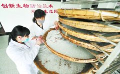 �����������д��ǻۣ����۷����ˮ������Ч����