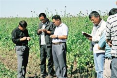 �Ĵ���������ɽ����ɫ��ֲ �츣һ��