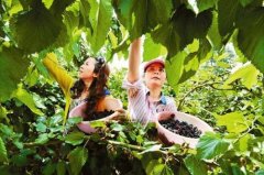 �Ĵ��ϳ�ũ����ɣ�غ�׬Ǯ