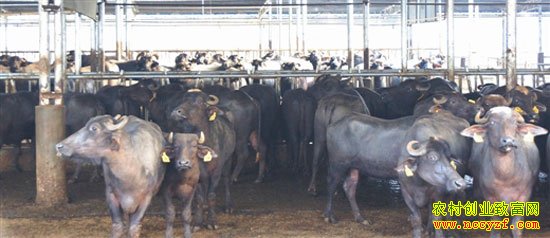 �������н�����ţ����ˮţ�����쳣