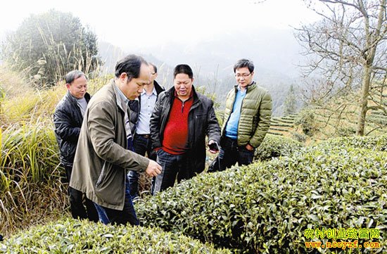 ����΢���﷢�͹��ļ����ֲ�