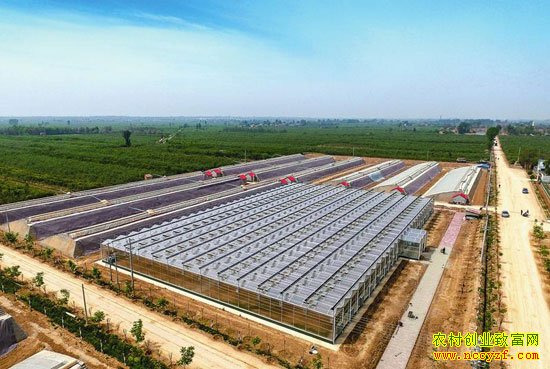 4��26�գ���Ȫ�ؿ������������ִ���ʩũҵ���ص����ܴ��Ｔ���깤Ͷ��ʹ�á�