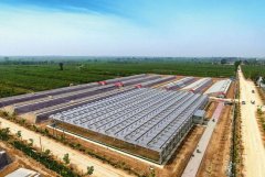 ������Ȫ���ܴ��������� ���ɿ��Ƶ����