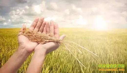 ũҵ����2016����ʳֱ��������6��30��֮ǰ����