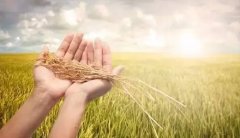 �������ڣ�2016����ʳֱ������6��30��ǰ����