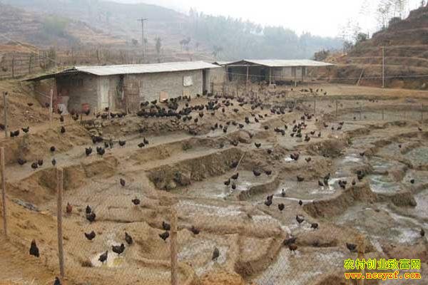 ũ��ѡ��ҵ��Ŀ