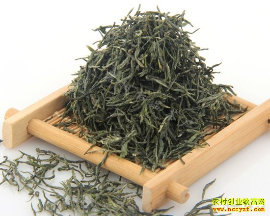 ���ҵ��������ũ���¸� ����ë����ϻ������쳵