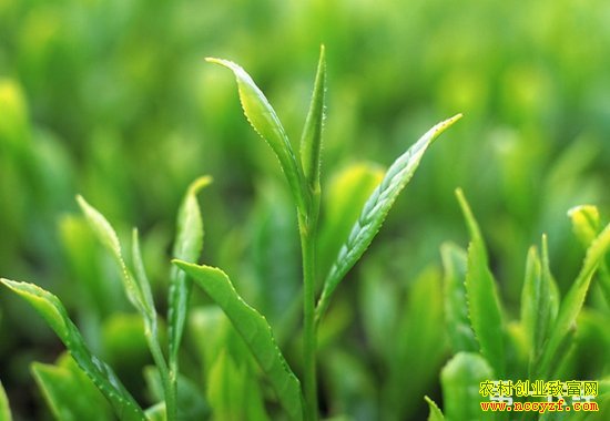 �������� ��Դ�������¸�����������