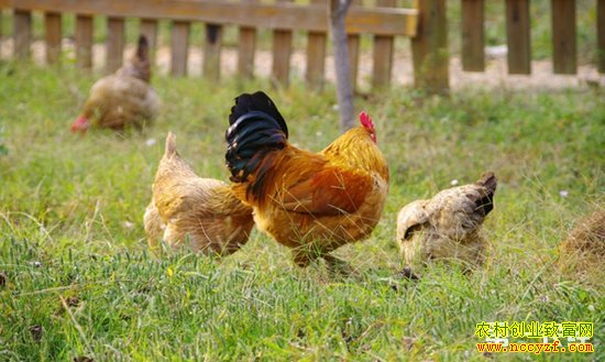 ����Ȧ������ ���ݸ������¸���