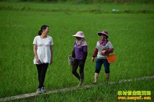 �����Ϻ���80�󡱷�������������Ӣ������ˮ���¸�