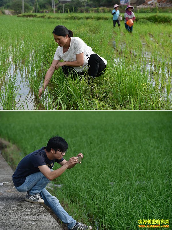 �����Ϻ���80�󡱷�������������Ӣ������ˮ���¸�