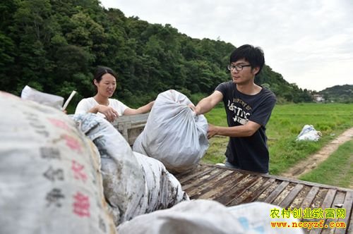 �����Ϻ���80�󡱷�������������Ӣ������ˮ���¸�