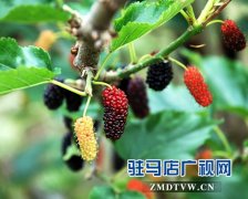 ����ƽ����ɣ���ֲ��ũ���¸�����Ŀ