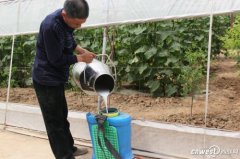 ���������콨���ֳ������̻ƹϡ� ũҩ����Ϊ0