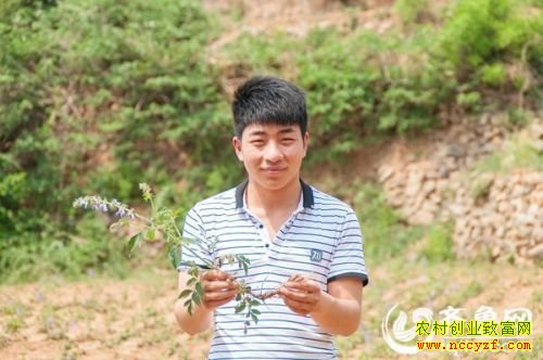 ɽ������90��С����Ի��紴ҵ��ֲ���������¸�·