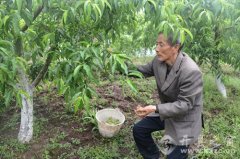 ���쿪��̷�����󵨴������Һ�׬Ǯ