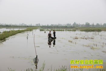 �������ɺ�����̫��С��Ϻ��Ӣ��������ֳ����