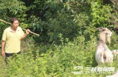 ������������ң���ɽ��ɽ�������¸�