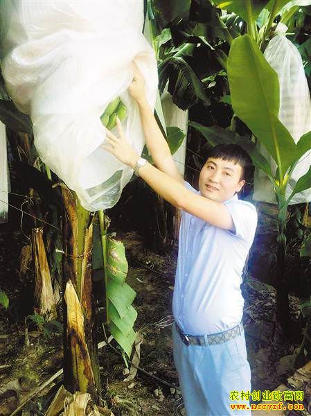 ��˫���ɡ��㽶���������������㽶����ǧ��Ԫ