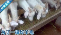 [�Ƽ�Է]׬Ǯ����ë������ɽ����ֳ��׬Ǯ