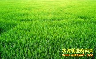 δ����������Ǯ���ֲ�ȴ��׬���죡