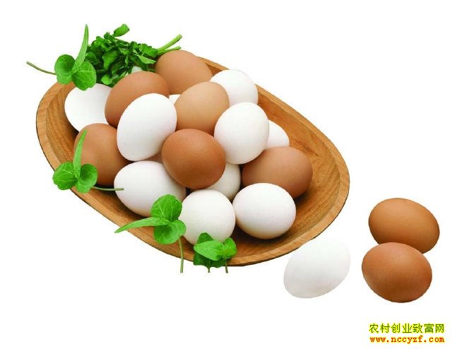 δ����������Ǯ���ֲ�ȴ��׬���죡